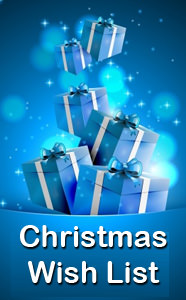 The Christmas Wish List from Elements Hair and Lifestyle