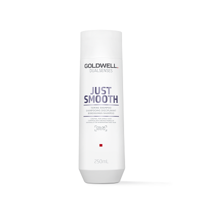 goldwell dualsenses just smooth taming shampoo